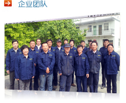 企業團隊